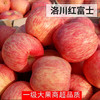 清甜可口的洛川红富士苹果中小果4.5斤装 商品缩略图1