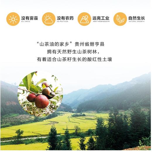 山茶油 商品图6
