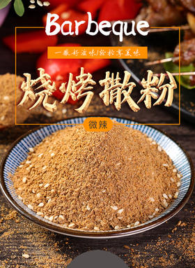 闽南地区特调   秘制烧烤粉 500g/包  用于烧烤撒料、烧烤刷酱、烧烤沾酱、水饺沾酱