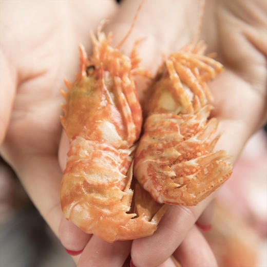【俄罗斯进口-麒麟虾 1kg/5kg】【Russia Greenland Shrimps】 商品图3