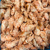 【俄罗斯进口-麒麟虾 1kg/5kg】【Russia Greenland Shrimps】 商品缩略图1
