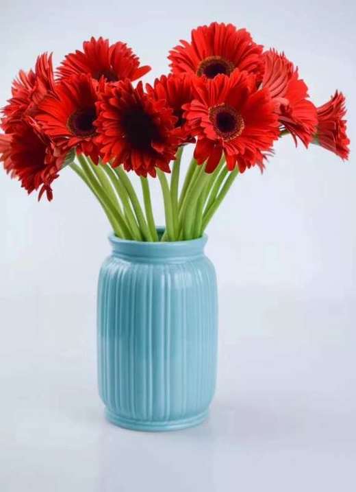 活动价99元1820支重瓣非洲菊鲜花