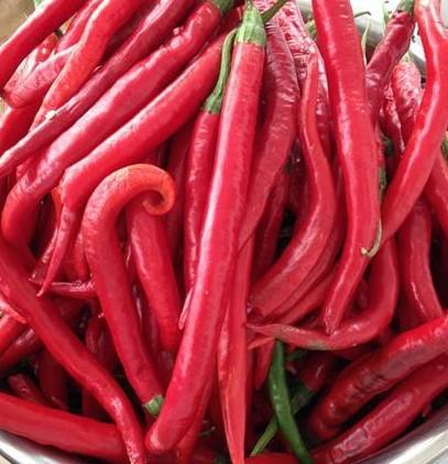 红尖椒约500g份