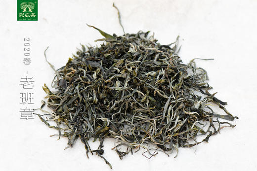 彩农茶｜老班章2020头春古树纯料青饼 商品图1