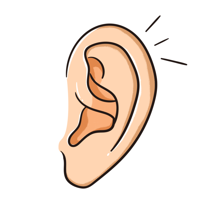 小耳朵大智慧耳穴疗法初级开班啦