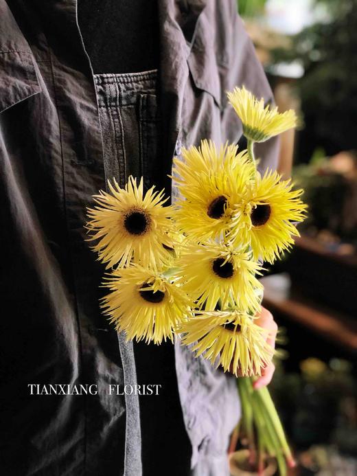 神润斋花园中心【每周一花】拉丝非洲菊10枝（橙色、粉色、奶黄色、颜色随机） 商品图2