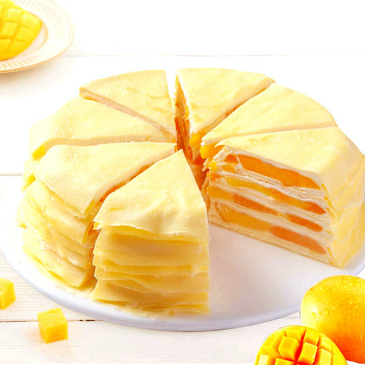芒果千层 商品图0