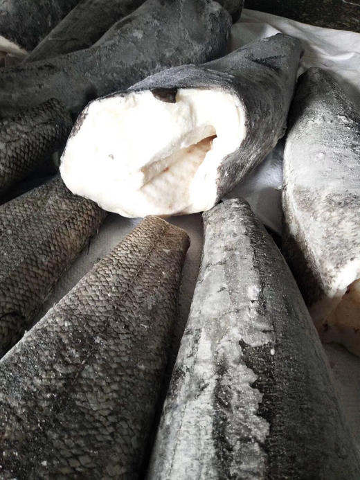 法国银雪鱼 商品图1