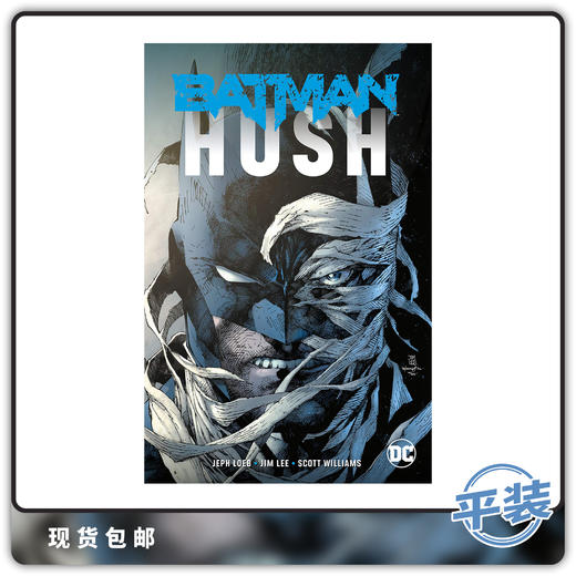 合集 蝙蝠侠 缄默 新版 平装 Batman Hush TP 商品图0