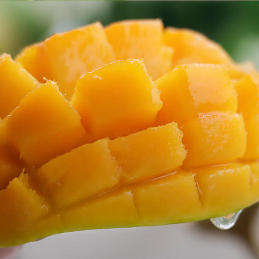 【海南好物】小台农芒果 4.5斤/8斤 商品图0