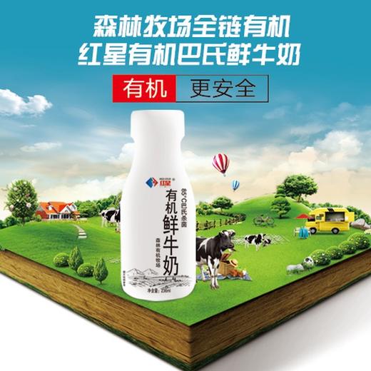 秋季订卡福利购【红星有机认证巴氏鲜奶复团，230g/瓶】哈尔滨同城配送，每周固定配送 商品图0