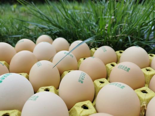 物本源精选无抗鸡蛋40枚装 商品图2