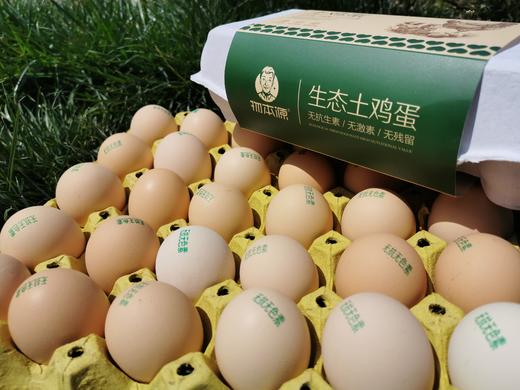 物本源精选无抗鸡蛋10枚装 商品图4