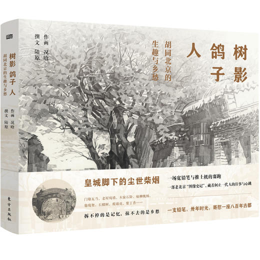 树影 鸽子 人：胡同北京的生趣与乡愁 商品图0