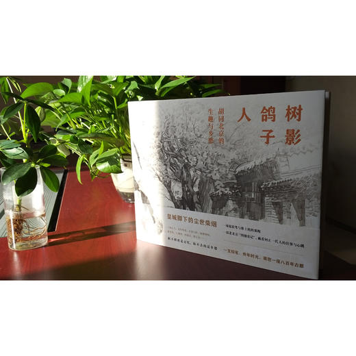 树影 鸽子 人：胡同北京的生趣与乡愁 商品图1