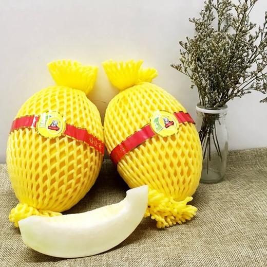 王品蜜瓜【件】 商品图0