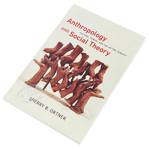 预售 【中商原版】谢丽·奥特纳：人类学与社会理论 英文原版 Anthropology and Social Theory Sherry B. Ortner 商品图2