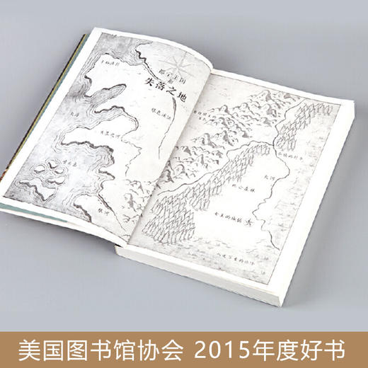 女巫的孩子    纽伯瑞儿童文学奖金奖得主作品五年级共读 商品图2