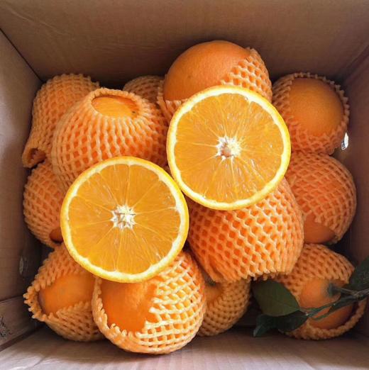 秭归伦晚湖北果园直发秭归伦晚脐橙10斤产地直销现摘现发