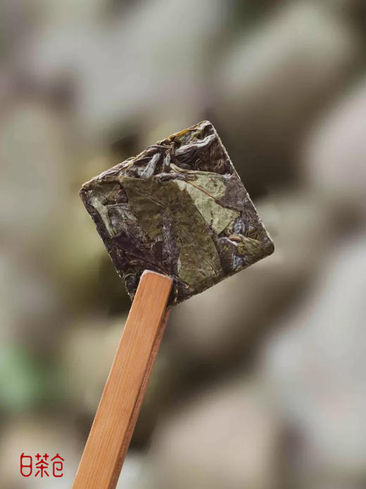 嘉一片 福鼎白茶 松压白牡丹 饼干茶 商品图2