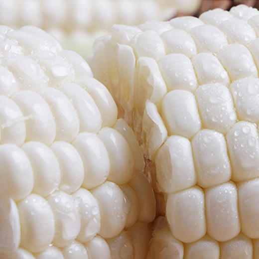 云南爆浆冰糖水果玉米——可以生吃的水果玉米