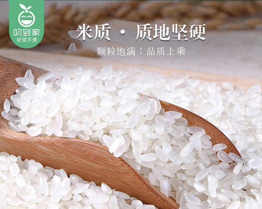 五常天然香米/1包（5kg）生产日期：3月15日 商品图4