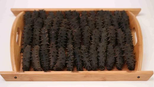 B1F 大洋岛半干海参 21-25头/500g 商品图0