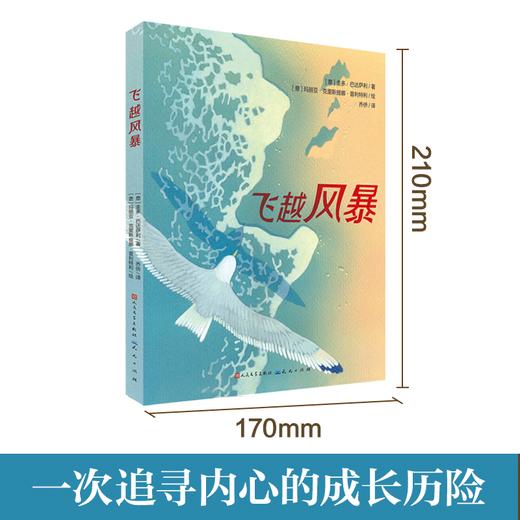飞越风暴   天天出版社三年级正版现货速发|名师推荐|小学生课外阅读3年级 商品图1