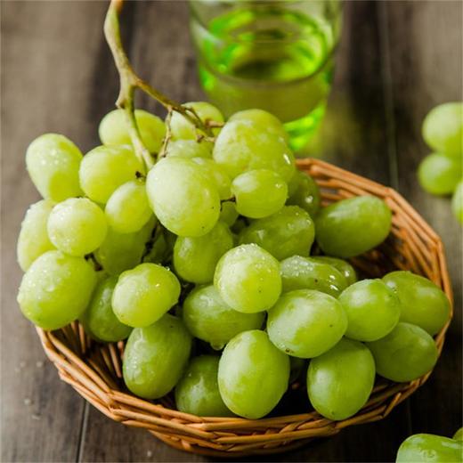 智利青提700g/盒【满39元包邮系列】