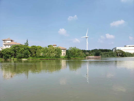 【骑马、烧烤、骑行、踏青】4月25日海滨森林公园春游活动报名入口 商品图2