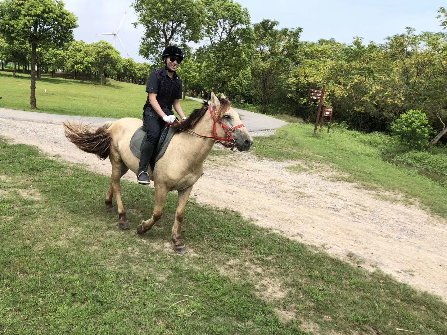 【骑马、烧烤、骑行、踏青】4月25日海滨森林公园春游活动报名入口