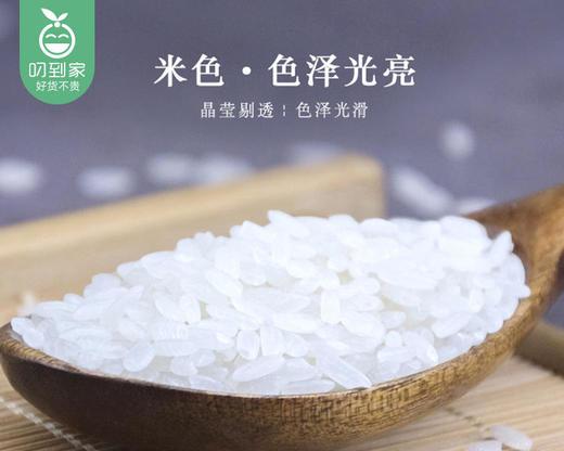 五常天然香米/1包（5kg）生产日期：3月15日 商品图3