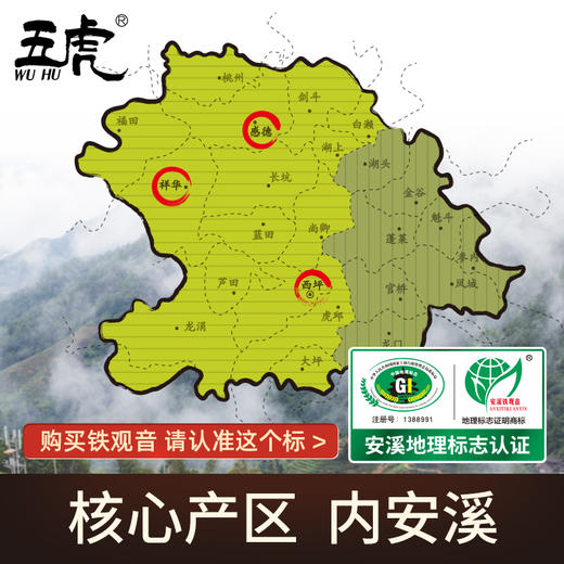 茶叶 安溪铁观音  浓香型 乌龙茶 茶饮  五虎 250g 买二送一 商品图2