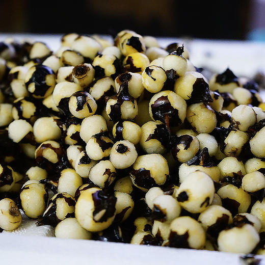 海陵岛特产新鲜珍珠马蹄来自地下的香甜美味