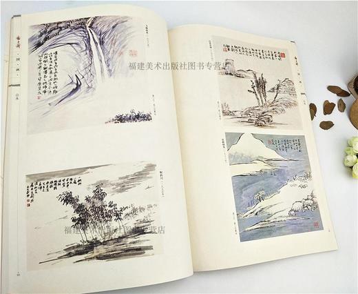 潘主兰国画+潘主兰书法全套2册 中国画名家画集绘画作品/传世书法名家名品教程鉴赏导读 艺术收藏鉴赏国画初学者书法理论图书籍福建美术出版社 商品图3