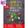 【中商原版】重建免疫疗法 28日细胞分子矫正排毒圣经 精华版 港台原版 Michelle Schoffro Cook 博思智库 商品缩略图1