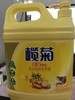 榄菊洗洁精生姜2.588kg/每瓶18元2瓶起批 商品缩略图0