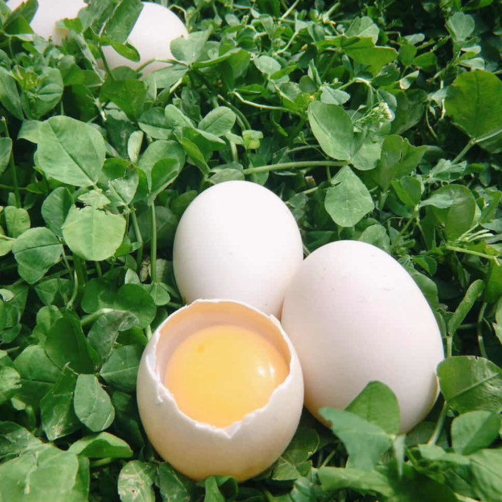 为鄂拼单美洲雁蛋畅销东南亚富含卵磷脂和微量元素30枚盒不支持退款