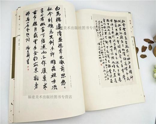 潘主兰国画+潘主兰书法全套2册 中国画名家画集绘画作品/传世书法名家名品教程鉴赏导读 艺术收藏鉴赏国画初学者书法理论图书籍福建美术出版社 商品图4