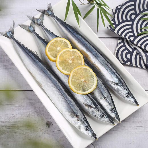 【猫和你都想了解】秋刀鱼1000g 顺丰空运 大连港直发