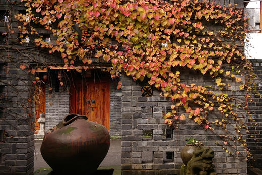 【大邑·设计师别院】油菜花开·烟霞谷雨，3房、6房禅意别院，全屋暖气~sjs 商品图1