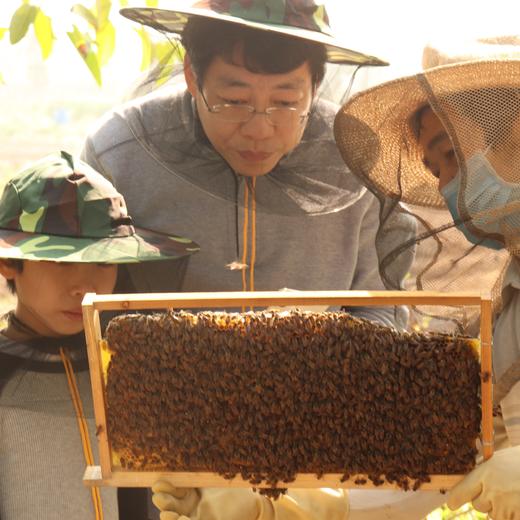 打蜜 | 农园活动 * HoneyDrop | Farm activities 商品图1