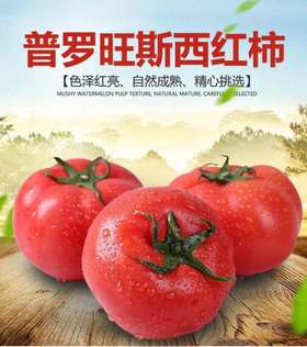 【社区团购】普罗旺斯西红柿10元3斤