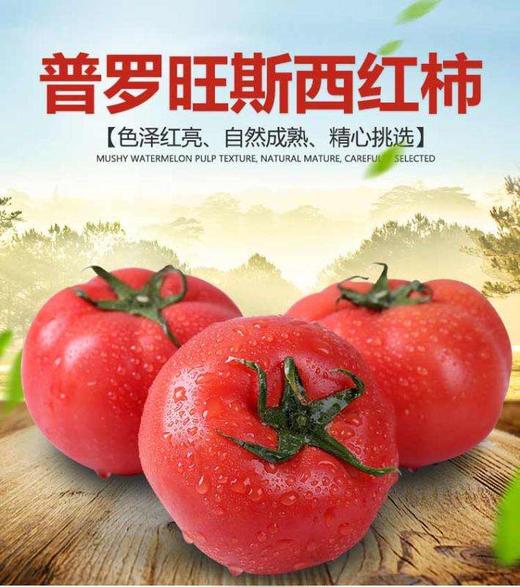 【社区团购】普罗旺斯西红柿10元3斤 商品图0