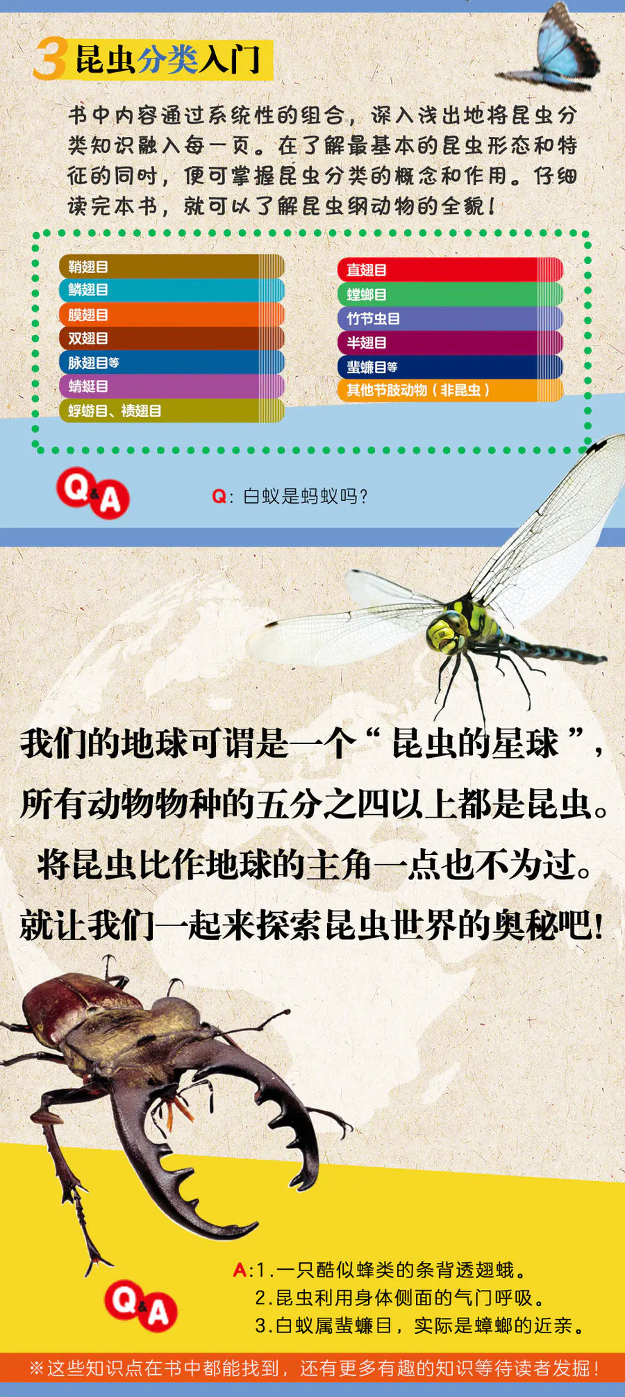 正版图书move图鉴 昆虫精装科普图鉴