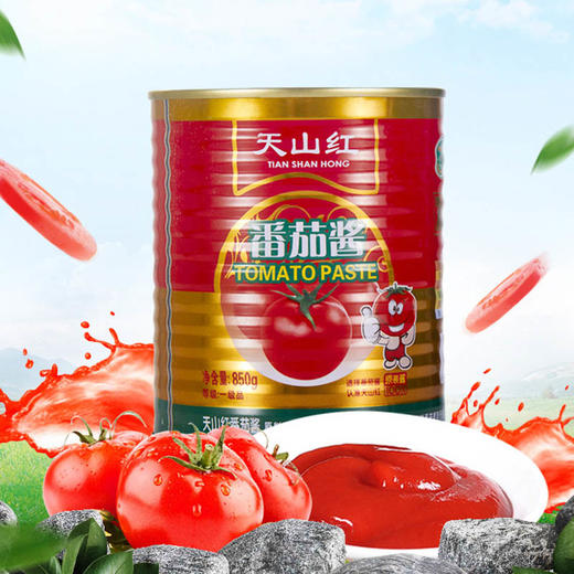 天山红番茄酱850g 商品图0