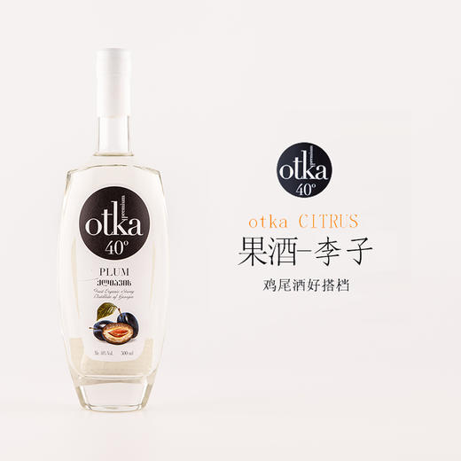 【新品上架】欧特嘉 李子伏特加500mL 商品图0