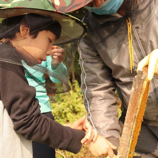 打蜜 | 农园活动 * HoneyDrop | Farm activities 商品图2