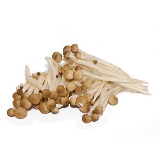 小茶菇 商品图1