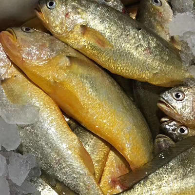 〔象山码头直发包邮17〕码头海鲜野生梭子蟹/鲳鱼/带鱼/深海黄鱼/野生花蛤/海钓鲷鱼/红膏青蟹/芒种虾皮/带膏小管/泥蛏子/斑节虾/翡翠鲍鱼/章鱼/琵琶虾/皮皮虾/小船红虾/墨鱼干 商品图3